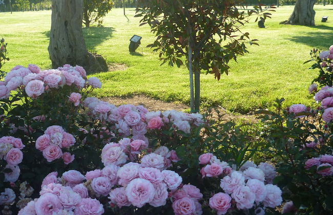 Postiglione Country House - Foto 10