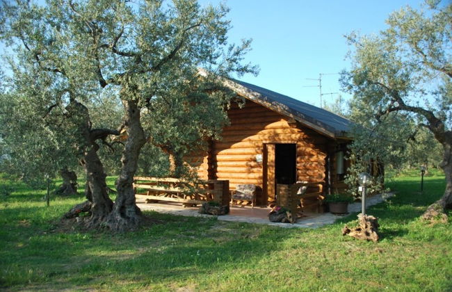 Chalet 4 Agriturismo - Foto 21