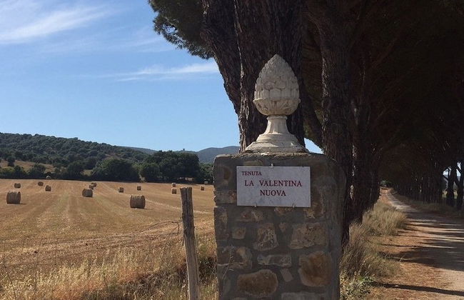 Agriturismo La Valentina Nuova - Foto 45