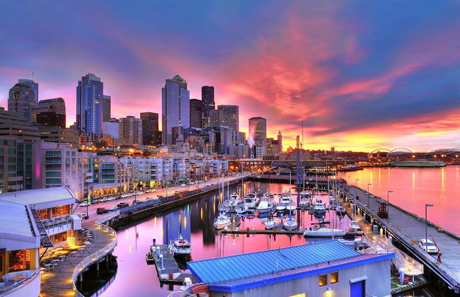 Urban Oasis near Downtown - Photo 15