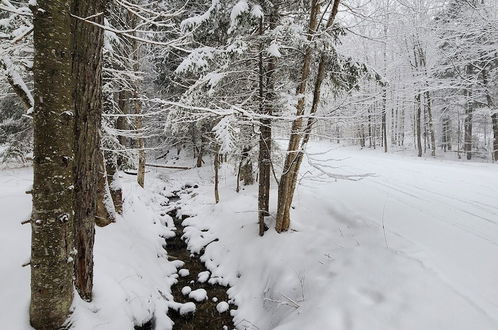 Photo 27 - Ski in & out Spruce Glen Townhomes on Great Eastern Trail