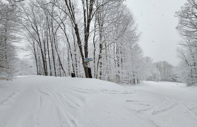 Ski in & out Spruce Glen Townhomes on Great Eastern Trail - Foto 20