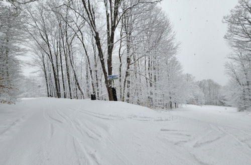 Photo 17 - Ski in & out Spruce Glen Townhomes on Great Eastern Trail