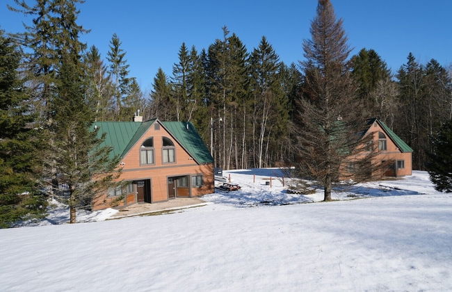 Ski in & out Spruce Glen Townhomes on Great Eastern Trail - Foto 26