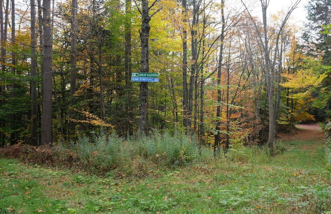 Ski in & out Spruce Glen Townhomes on Great Eastern Trail - Foto 18