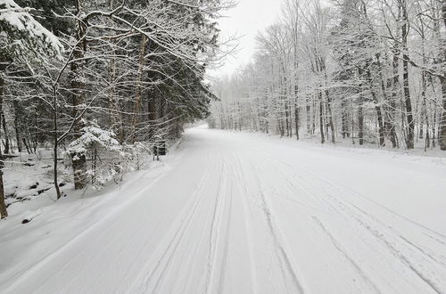 Photo 18 - Ski in & out Spruce Glen Townhomes on Great Eastern Trail