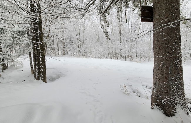 Ski in & out Spruce Glen Townhomes on Great Eastern Trail - Foto 23