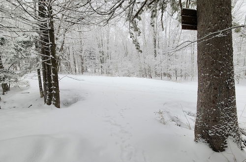 Photo 21 - Ski in & out Spruce Glen Townhomes on Great Eastern Trail