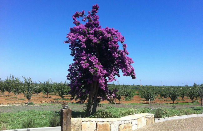 Agriturismo Sant'Andrea - Foto 38