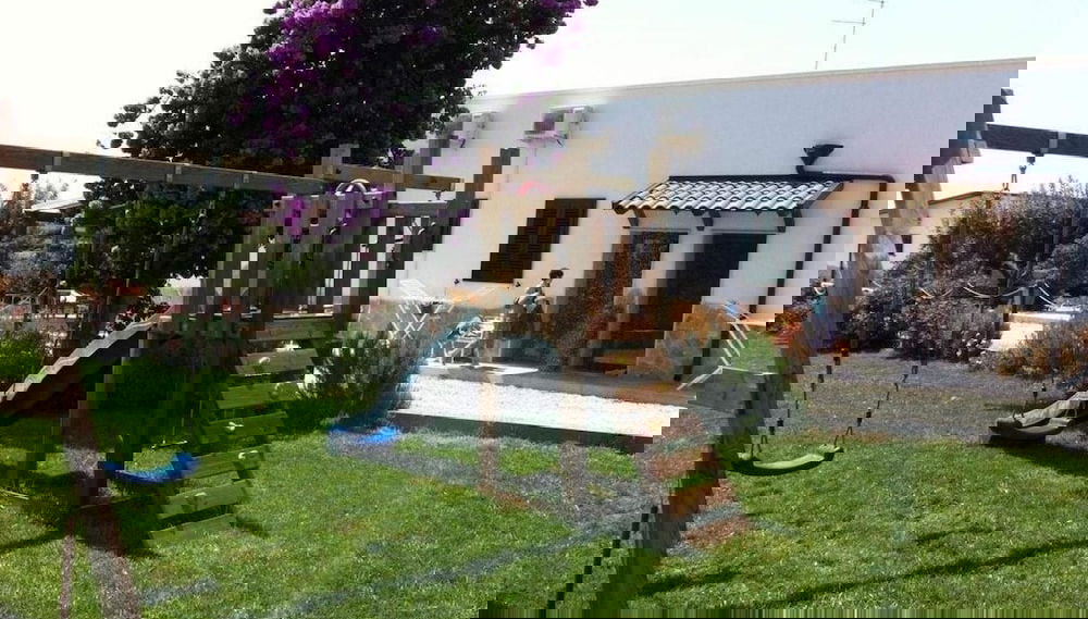 Imagem principal