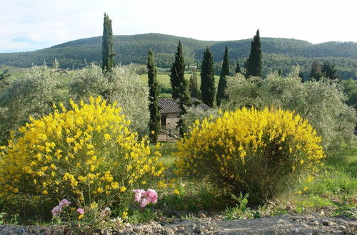 Photo 6 - Tenuta Le Sodole - Papavero Holiday Home