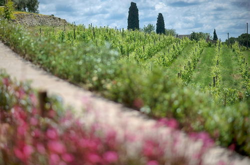 Photo 26 - Luxury Chianti in La Farfalla in Panzano Chianti