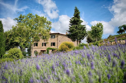 Photo 33 - Luxury Chianti in La Farfalla in Panzano Chianti