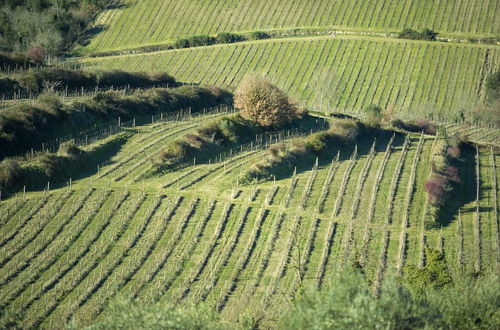 Photo 8 - Ville La Marcellina - Il Tinaio