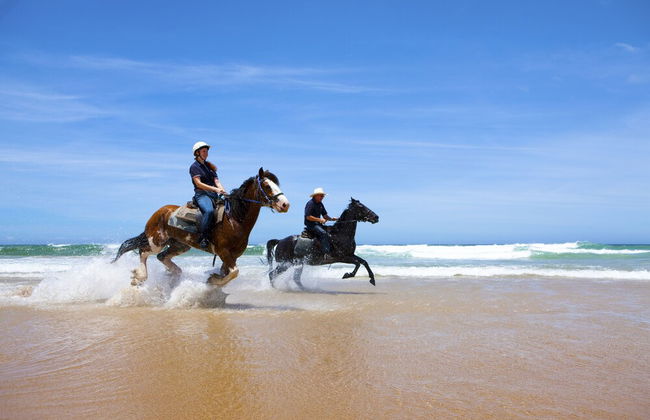On the Beach Getaway - Foto 19