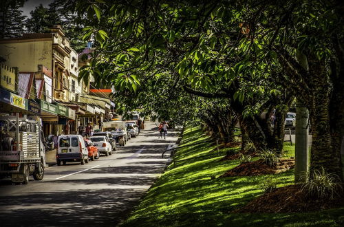 Photo 13 - Leura Rose Cottage