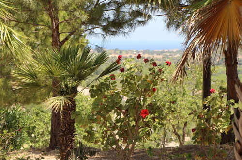 Foto 16 - Cozy Villa Ambra Between Olive Trees, in Noto