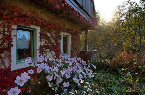 Photo 57 - Vintage House Podliparska