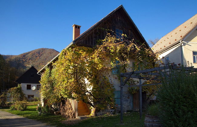 Vintage House Podliparska - Foto 56