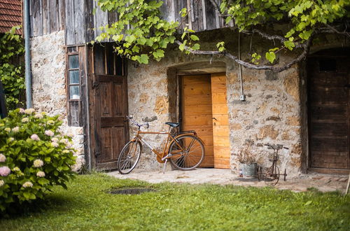 Photo 54 - Vintage House Podliparska