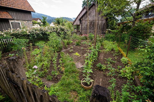 Photo 58 - Vintage House Podliparska