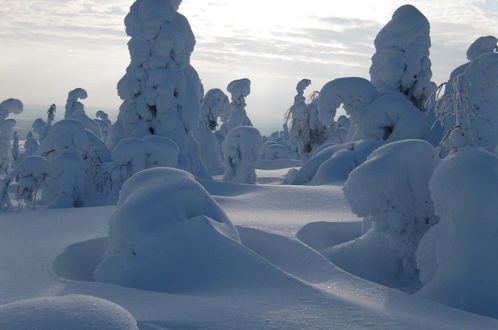 Foto 64 - Wilderness chalet Kuusamo