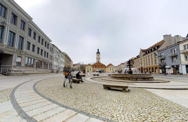 Rint- Rynek Kosciuszki - Foto 31