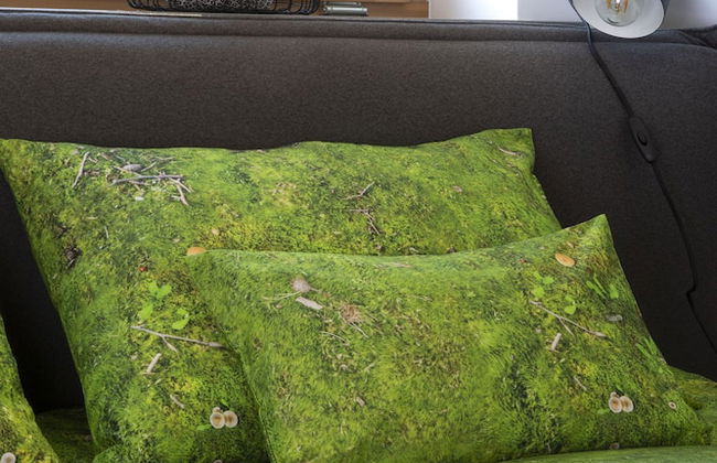 Green Deer Premium - Foto 9