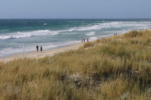 Photo 16 - Scarborough & Absolutely Beachfront