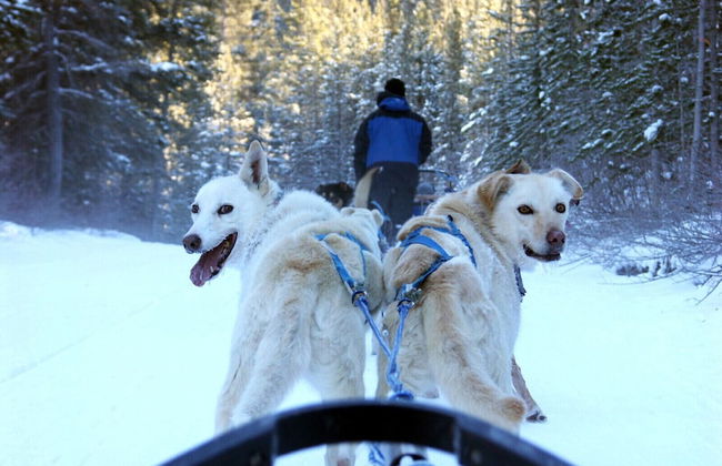 Nordic Lapland Resort - Photo 26