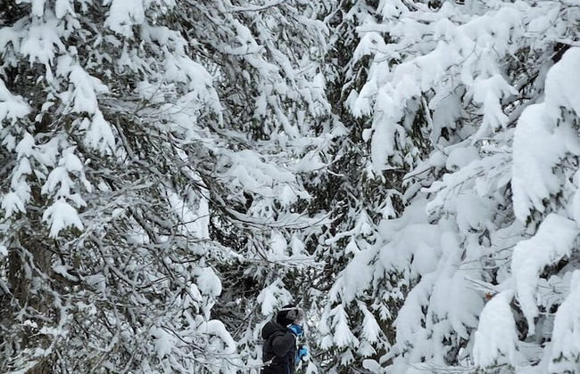 Nordic Lapland Resort - Photo 28