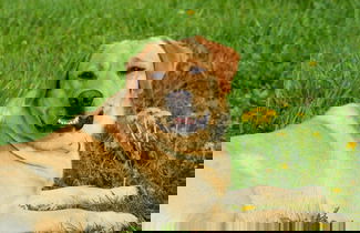 Foto 32 - Schnatterhof