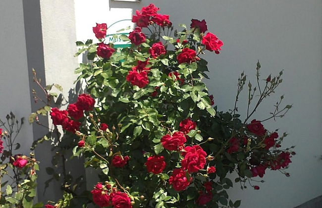 Schnatterhof - Foto 42