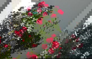 Foto 42 - Schnatterhof