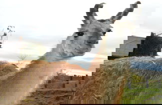 Foto 24 - Schnatterhof