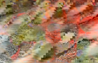 Foto 29 - Schnatterhof