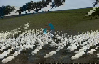 Foto 37 - Schnatterhof