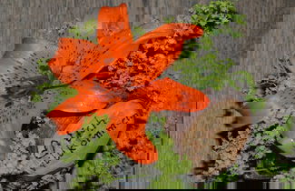 Foto 33 - Schnatterhof