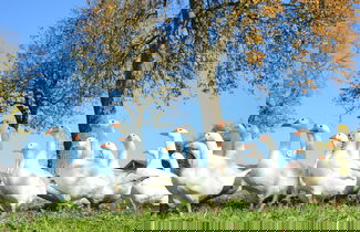 Foto 41 - Schnatterhof