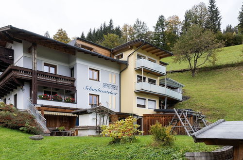 Photo 27 - Cozy Holiday Apartment in Zell am See With a Balcony Near the ski Area