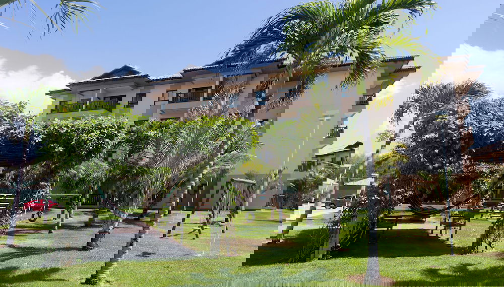 Image principale