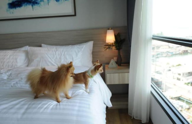 Oakwood hotel & Residence Sri Racha - Foto 9