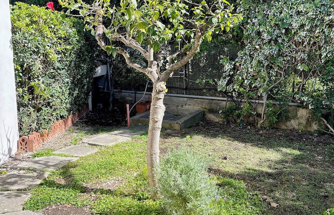 Golfo degli Ulivi Relax - Foto 52