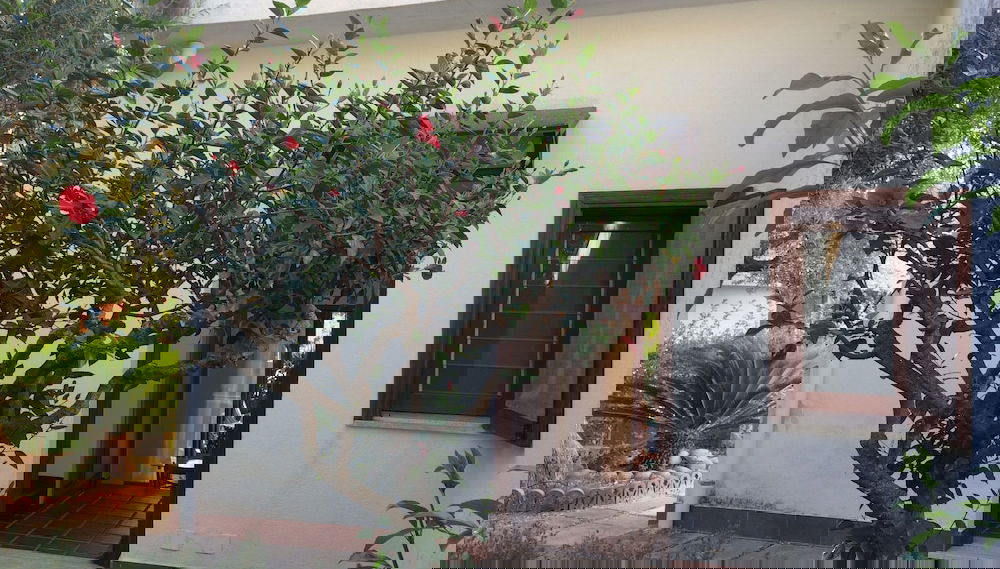 Imagem principal
