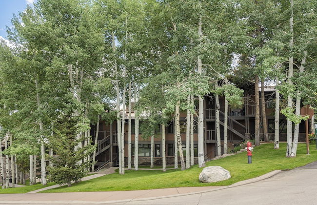 Aspenwood by Snowmass Vacations - Foto 46