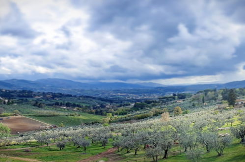 Foto 51 - Fattoria di Maiano