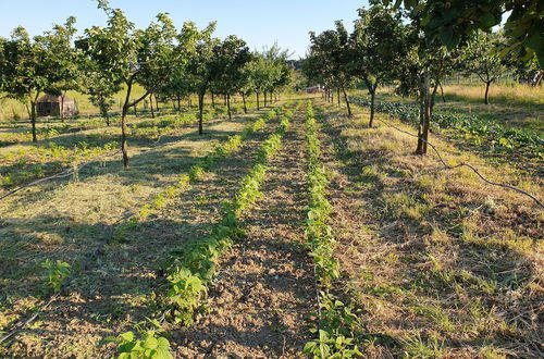 Photo 75 - Fattoria di Maiano