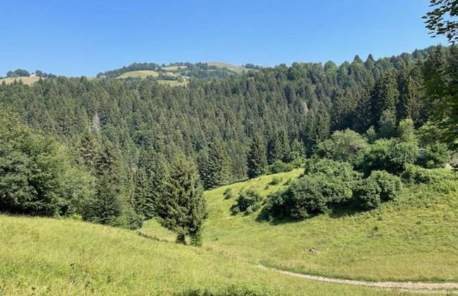 Romano D'ezzelino Castle - Foto 18
