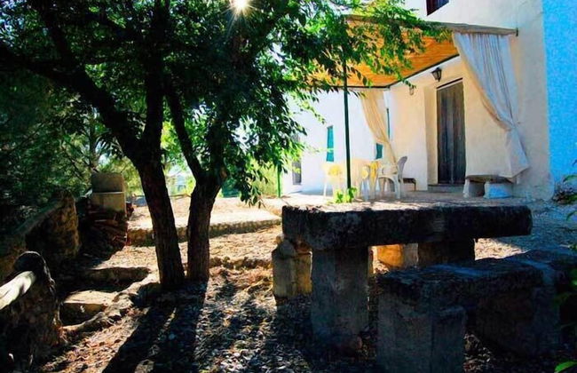 La Gineta - Foto 18