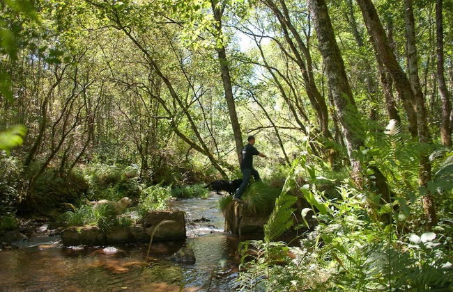 O Muíño de Pena Casa Rural - Foto 42